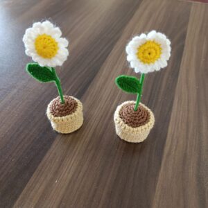 Add a touch of handmade charm to your home with these adorable crochet pot flowers!