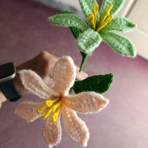 These beautiful crochet flowers