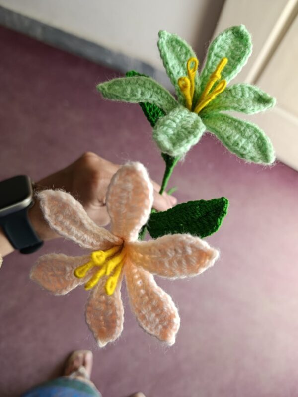 These beautiful crochet flowers