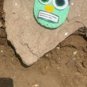 Cute Owl Bird Feeder Cover 🐦🌿